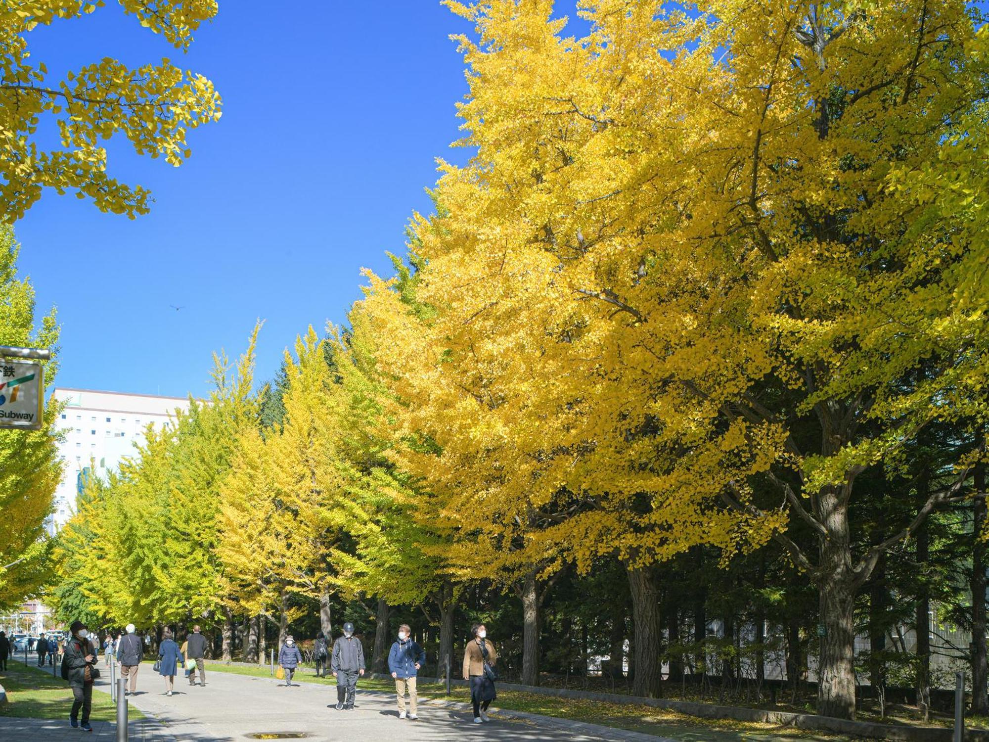 Vessel Inn Sapporo Nakajima Park Zewnętrze zdjęcie